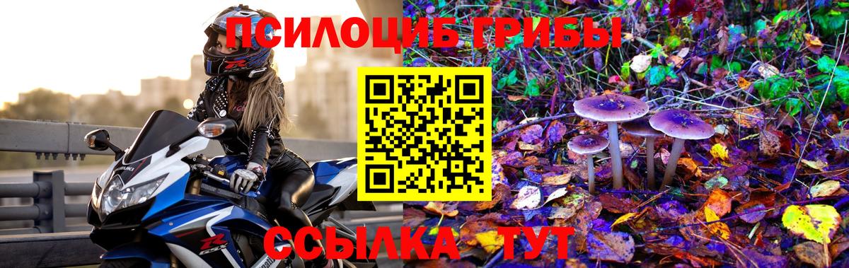 Псилоцибиновые грибы прущие грибы Троицк