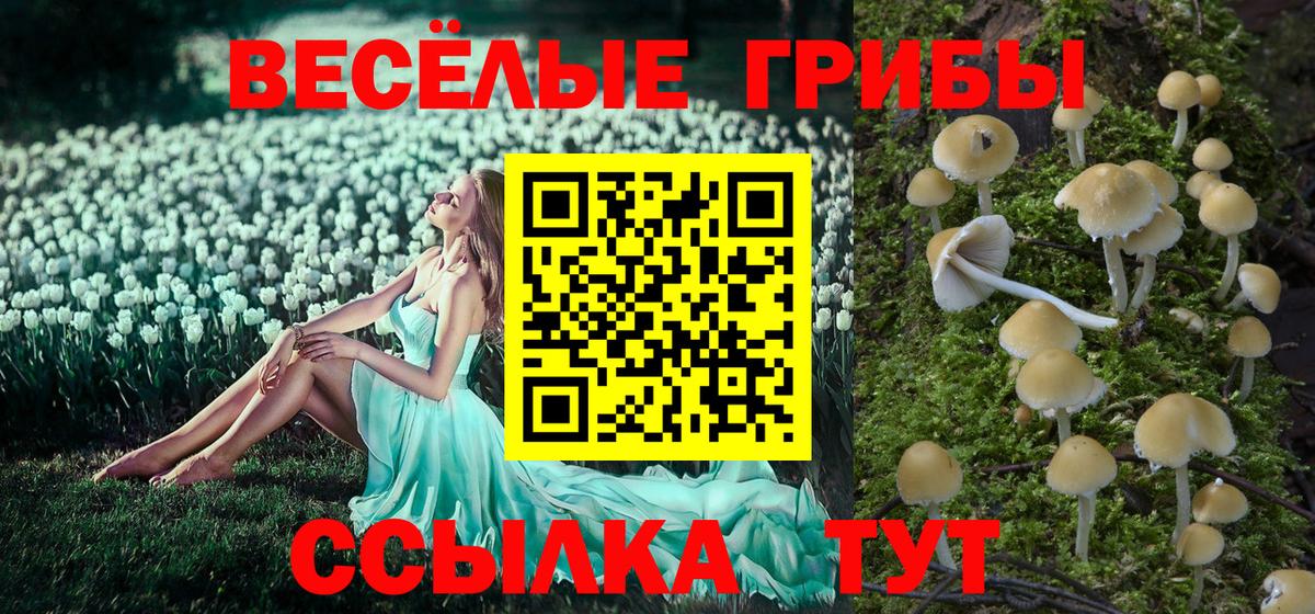 Галлюциногенные грибы GOLDEN TEACHER  Псилоцибиновые грибы MAGIC MUSHROOMS  Вход с VPN  Троицк 